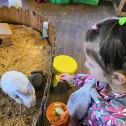 Kemerovo Zoo - Kemerovo