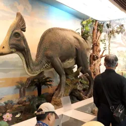 Khabarovsk Regional Museum - Khabarovsk