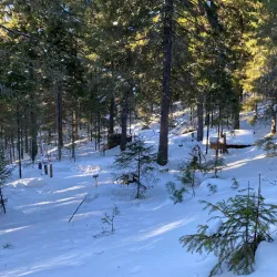 Ethnographic Park - Khanty-Mansiysk