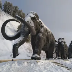 Khanty-Mansiysk Archaeological Museum - Khanty-Mansiysk