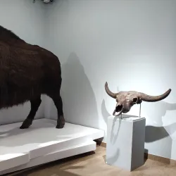 Museum of Nature and Man - Khanty-Mansiysk