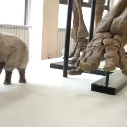 Museum of Nature and Man - Khanty-Mansiysk