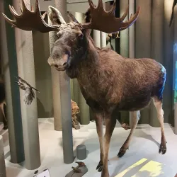 Museum of Nature and Man - Khanty-Mansiysk