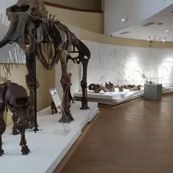 Museum of Nature and Man - Khanty-Mansiysk