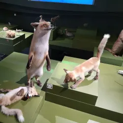 Museum of Nature and Man - Khanty-Mansiysk