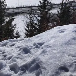 Siberian Nature Reserve - Khanty-Mansiysk