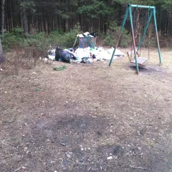 Siberian Nature Reserve - Khanty-Mansiysk