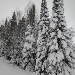 Winter Sports Complex - Khanty-Mansiysk