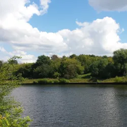 Khimki Botanical Garden - Khimki