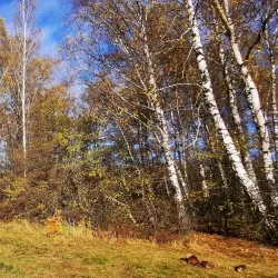 Khimki Central Park - Khimki