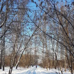 Khimki Central Park - Khimki