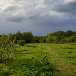 Khimki Central Park - Khimki
