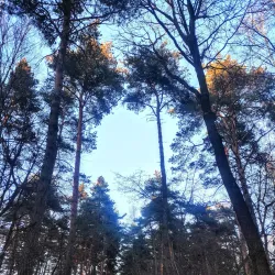 Khimki Central Park - Khimki