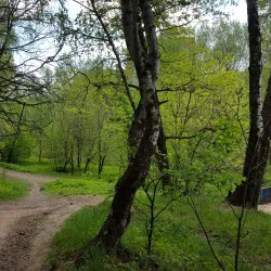 Khimki Forest Park - Khimki