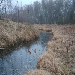 Khimki Forest Park - Khimki