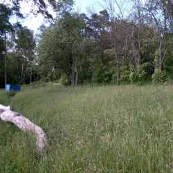 Senezh Lake - Khimki