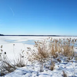 Senezh Lake - Khimki