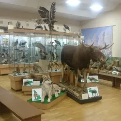 Vyatka Regional Museum - Kirov