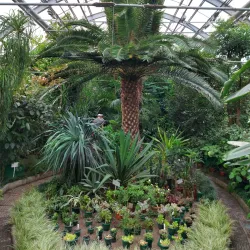 Khibiny Botanical Garden - Kirovsk