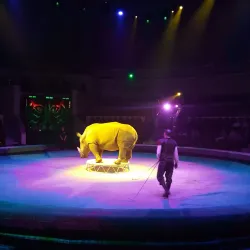 Kislovodsk State Circus - Kislovodsk