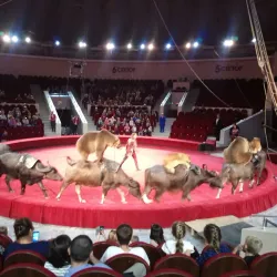 Kislovodsk State Circus - Kislovodsk