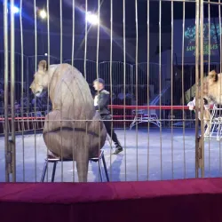 Kislovodsk State Circus - Kislovodsk