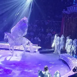 Kislovodsk State Circus - Kislovodsk