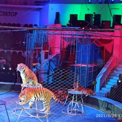 Kislovodsk State Circus - Kislovodsk