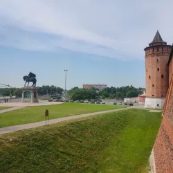 Marinkina Tower - Kolomna