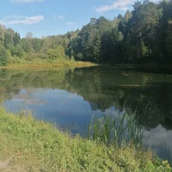 Central Siberian Botanical Garden (nearby in Novosibirsk) - Koltsovo