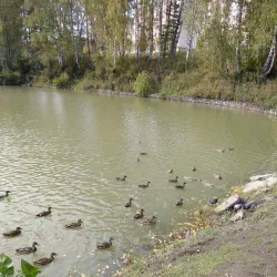 Koltsovo Central Park - Koltsovo