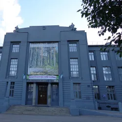 Novosibirsk State Art Museum (nearby in Novosibirsk) - Koltsovo
