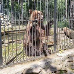 Novosibirsk Zoo (nearby in Novosibirsk) - Koltsovo
