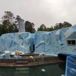 Novosibirsk Zoo (nearby in Novosibirsk) - Koltsovo