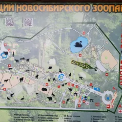 Novosibirsk Zoo (nearby in Novosibirsk) - Koltsovo