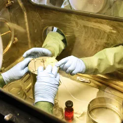 Vector Institute (State Research Center of Virology and Biotechnology) - Koltsovo