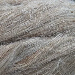 Museum of the Kostroma Linen Factory - Kostroma