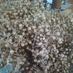 Museum of the Kostroma Linen Factory - Kostroma