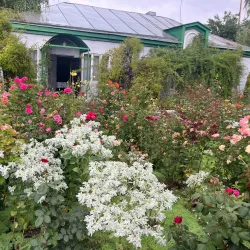 Holy Trinity Church - Kozelsk