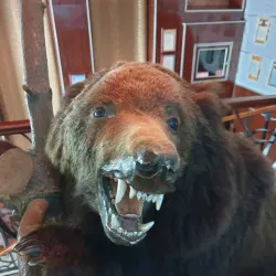 Museum of Local Lore - Kozelsk