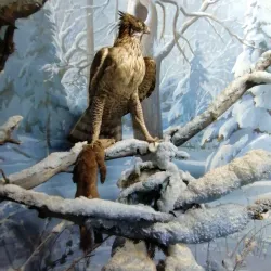 Museum of Local Lore - Kozelsk