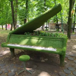 Chistyakovskaya Grove - Krasnodar