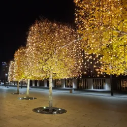 Krasnodar Stadium (Krasnodar Arena) - Krasnodar