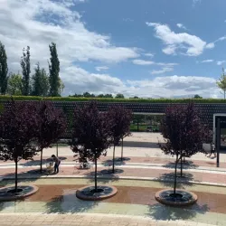 Krasnodar Stadium (Krasnodar Arena) - Krasnodar