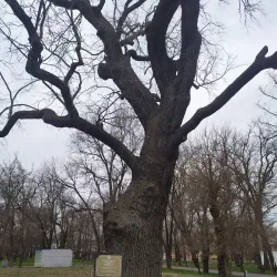 Park Gorkogo - Krasnodar