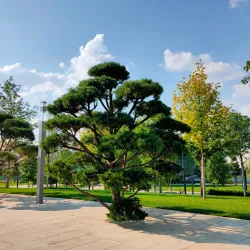 Victory Park - Krasnodar