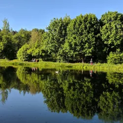 Krasnogorsk Central Park - Krasnogorsk