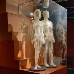 Krasnoyarsk Regional Museum - Krasnoyarsk