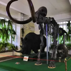 Museum Center of Krasnoyarsk - Krasnoyarsk