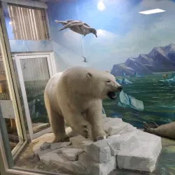 Museum Center of Krasnoyarsk - Krasnoyarsk